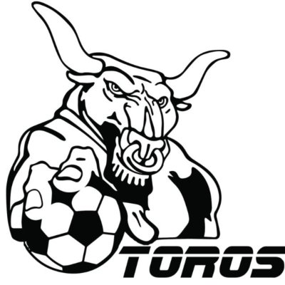 Toros