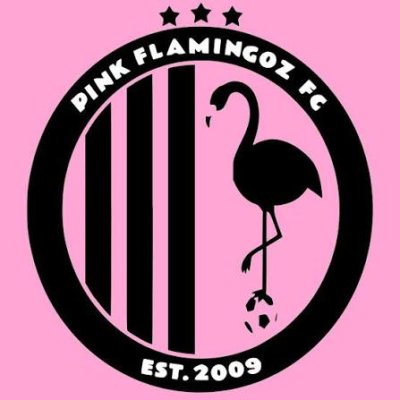 Pink Flamingoz