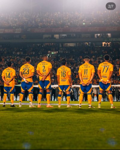 Tigres