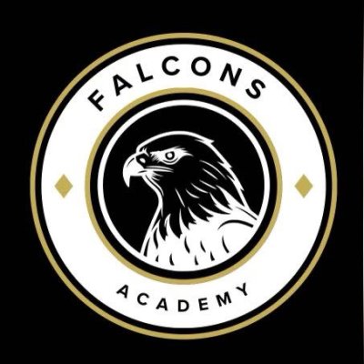Falcons Academy 