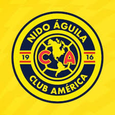 Nido águila arlington 