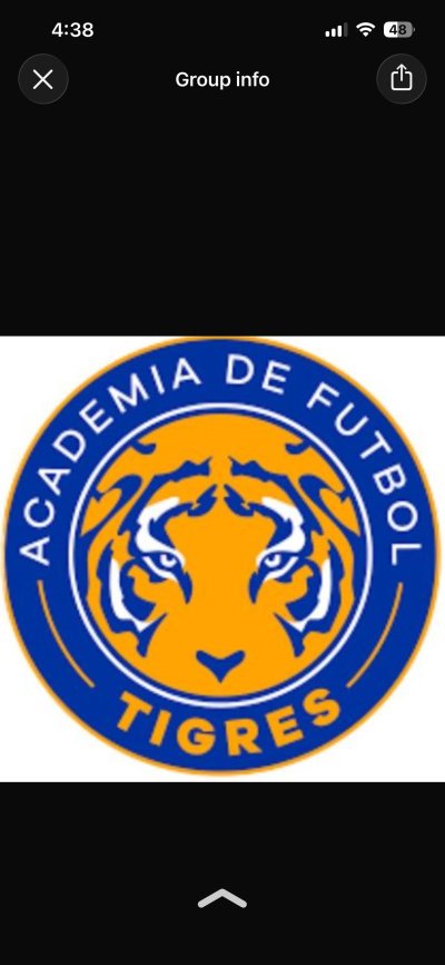 Irving Tigres Academy
