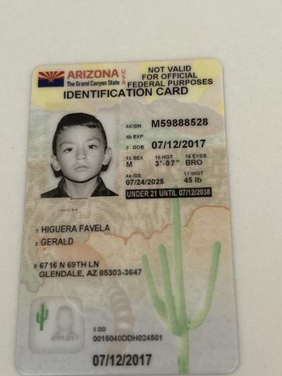 Gerald Higuera Favela
